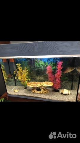 Аквариум
