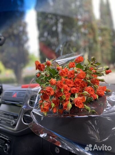 Экспресс доставка