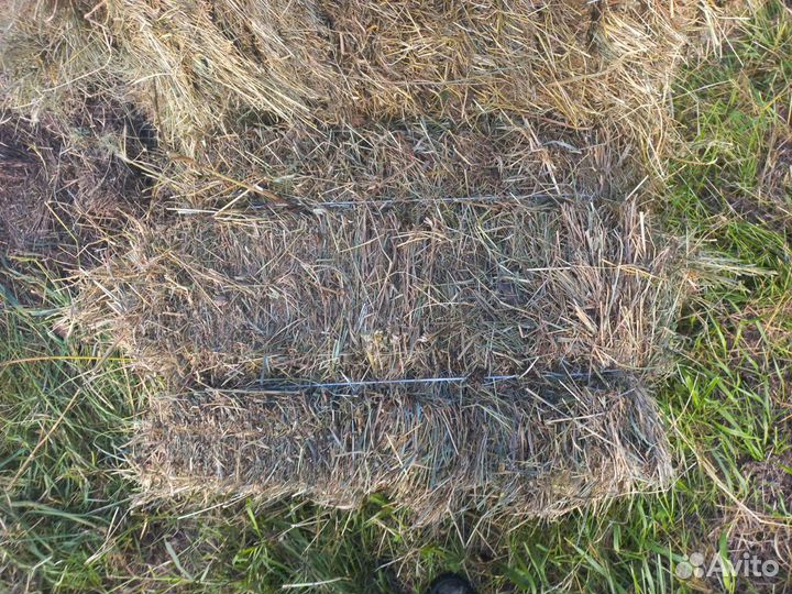 Сено в брикетах