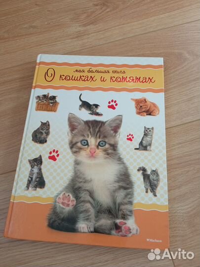 Книга про кошек