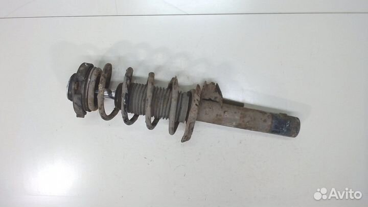 Амортизатор подвески Volkswagen Passat 6, 2009