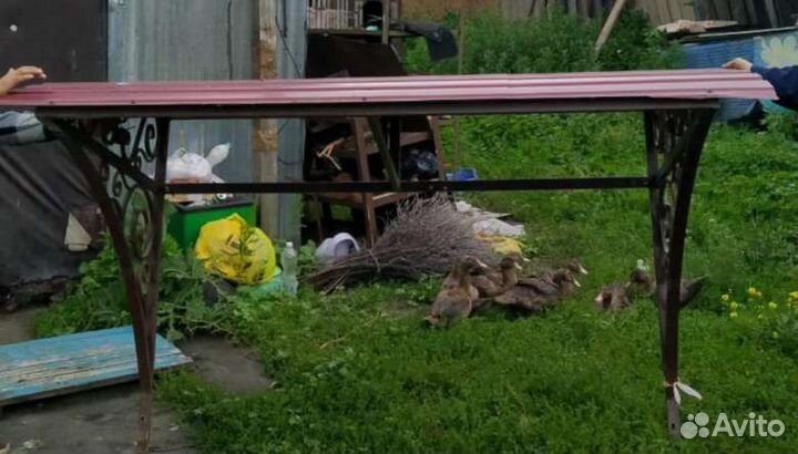 Козырек над дверью бу