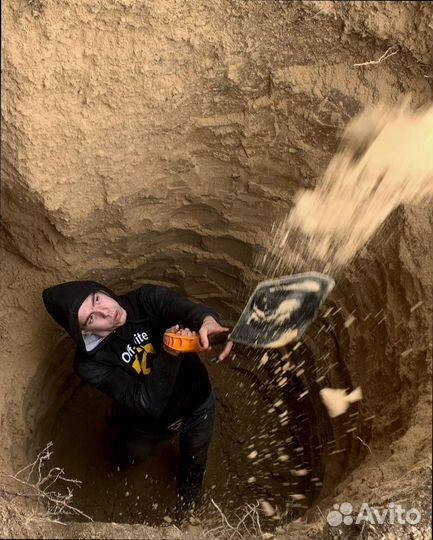 Биосептик для ресторана гарантия 10 лет