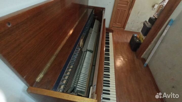 Пианино ronisch