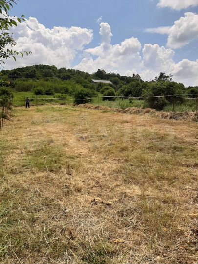 Участок 4 сот. (СНТ, ДНП)