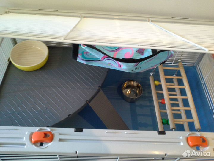 Клетки большие