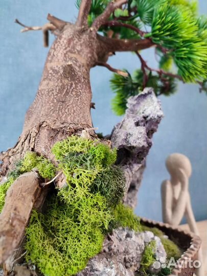 Бонсай, интерьерное дерево 60 см
