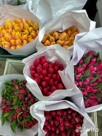 Букеты из тюльпанов к 8 марта с открыткой