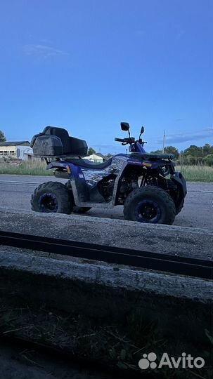 Avantis hunter 200 new big