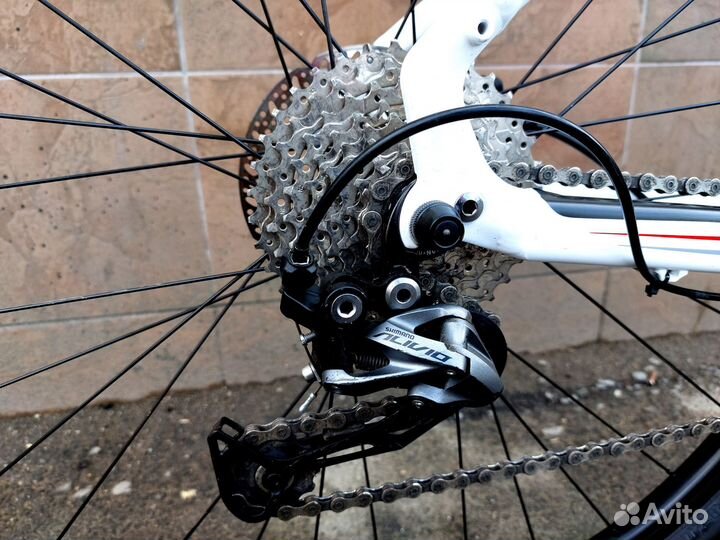 Specialized Rockhopper 29
