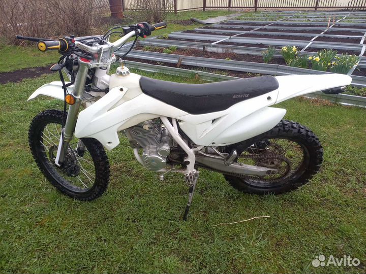 Avantis fx 250 lux