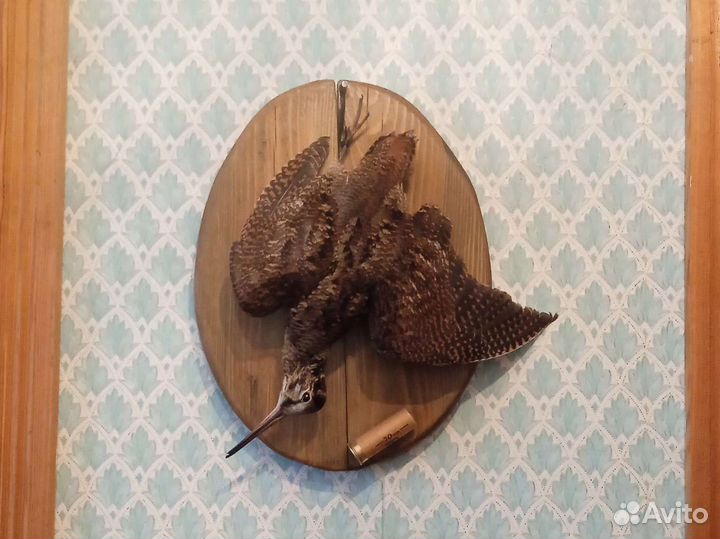 Вальдшнеп композиция