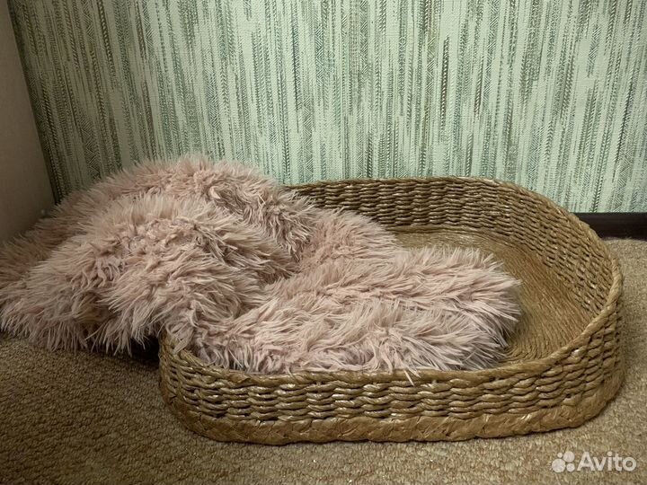 Плетенная лежанка для собак