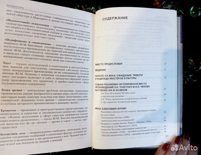 Литература 11 класс Чалмаев Зинин 1 часть