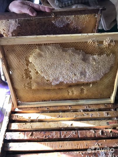 Рамки для пчел