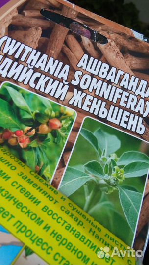 Растения чайные: липпия, ашваганда