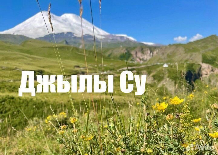 Туры на Кавказ