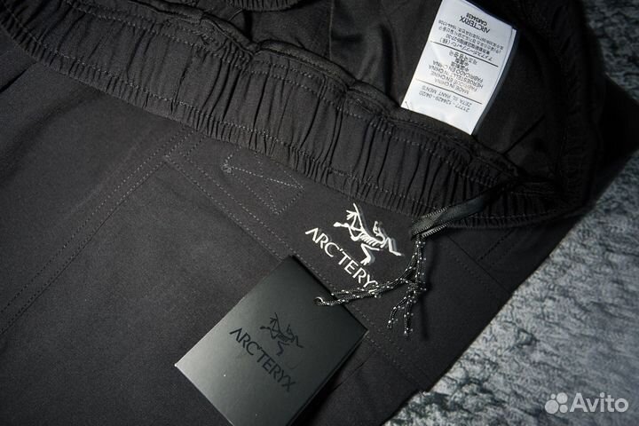 Arcteryx Спортивные Штаны Брюки