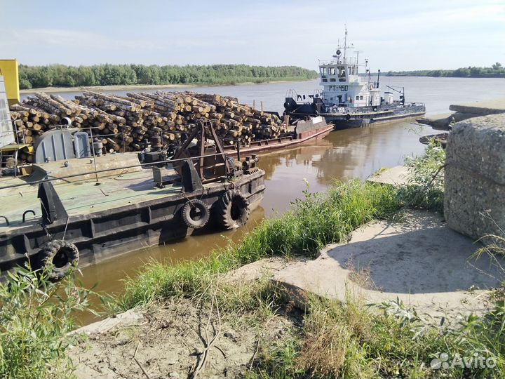 Лес кругляк сосна,берёза, осина