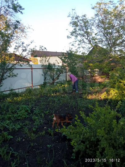 Дом 25 м² на участке 6 сот.