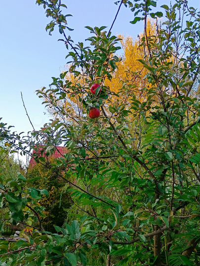 Дом 141,5 м² на участке 22 сот.