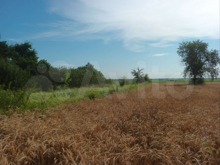 Участок 13 сот. (ИЖС)