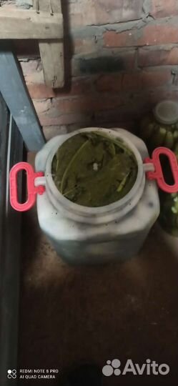 Огурцы соленые бочкой 30л