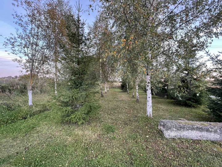 Участок 12 сот. (ИЖС)