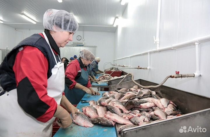 Требуются разнорабочие(вахта)