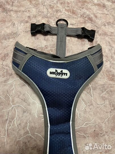 Шлейка для собаки
