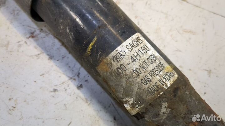 Амортизатор подвески Hyundai H-1 Starex, 2012