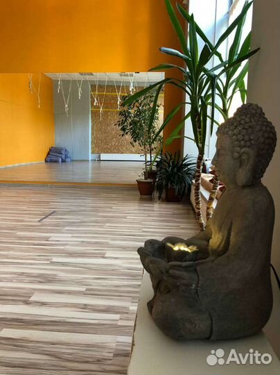 Продам студию йоги в Приморском районе