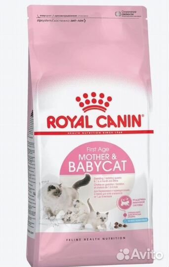 Корм для котят и беременных кошек