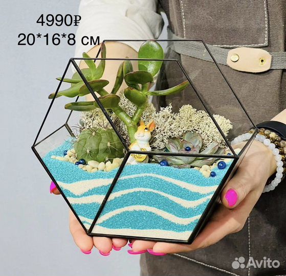 Флорариум интерьерный с суккулентами