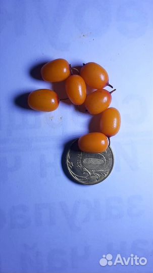 Облепиха ягода