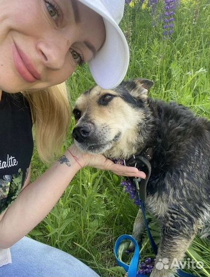 Шикарный Хан