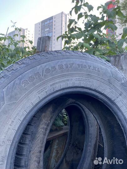 Nokian Tyres Hakkapeliitta 5 SUV 265/65 R17 116T