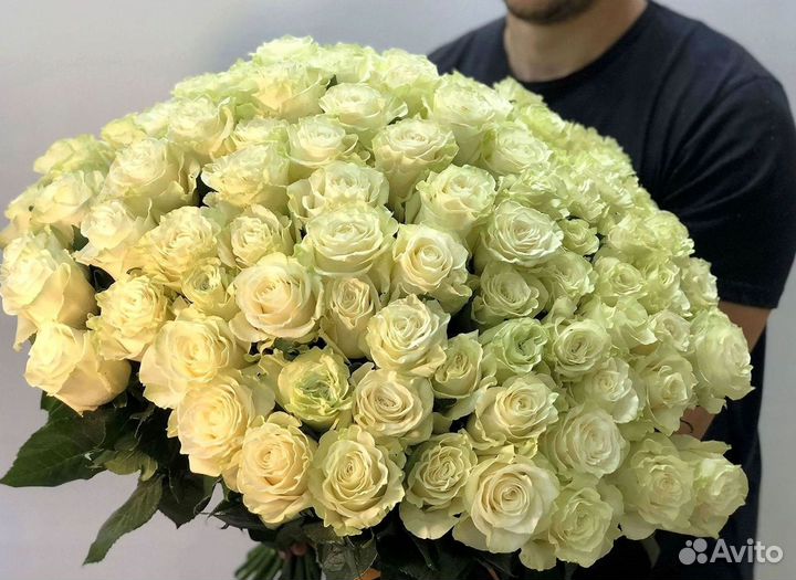 Розы гиганты 140 150 160 170 180 200