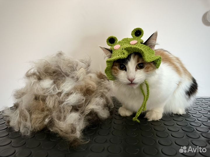 Груминг кошек экспресс линька стрижка