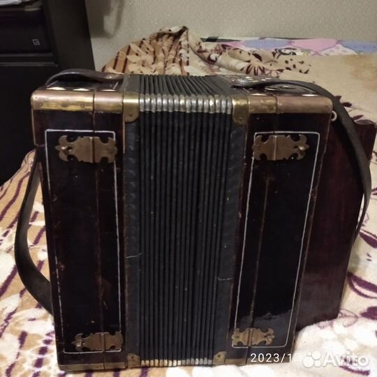 Гармонь любительская