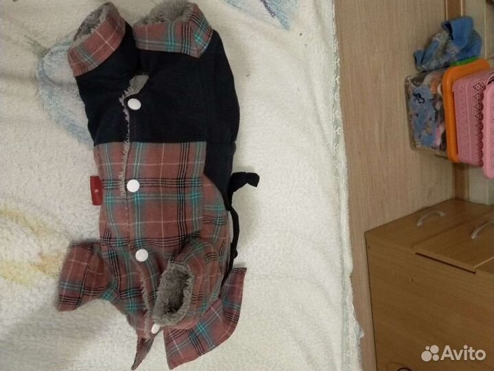 Одежда для маленьких собак