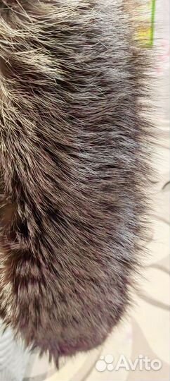 Мех в отличном состоянии