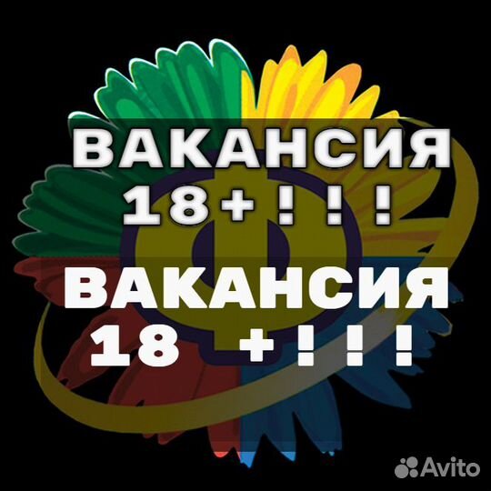 Торговый представитель Хасавюрт - Кизилюрт