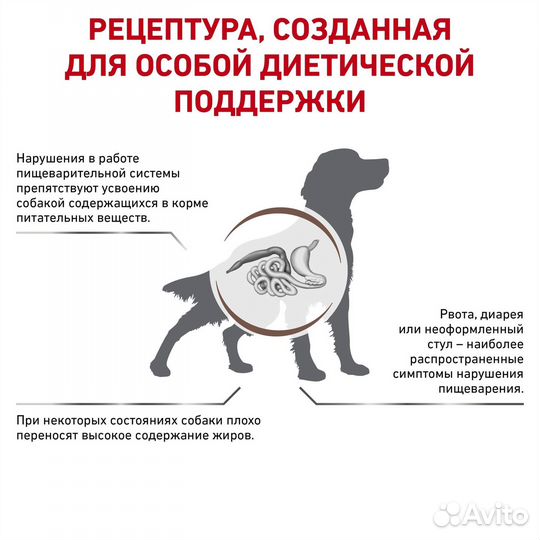 Royal Canin (вет.корма) для собак при нарушении пи