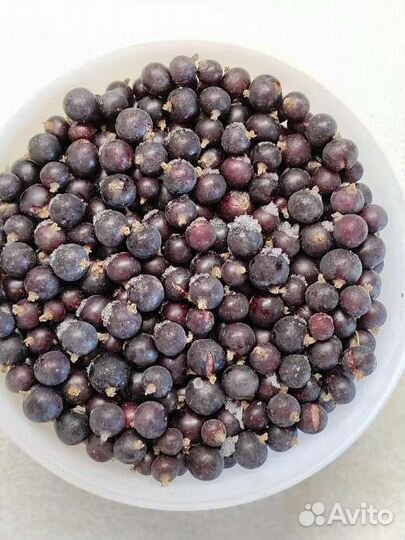 Черная смородина замороженная