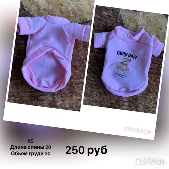 Одежда для животных