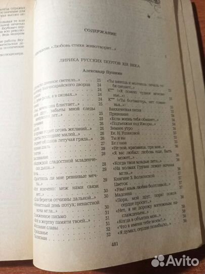 Лирика русских поэтов 19 века