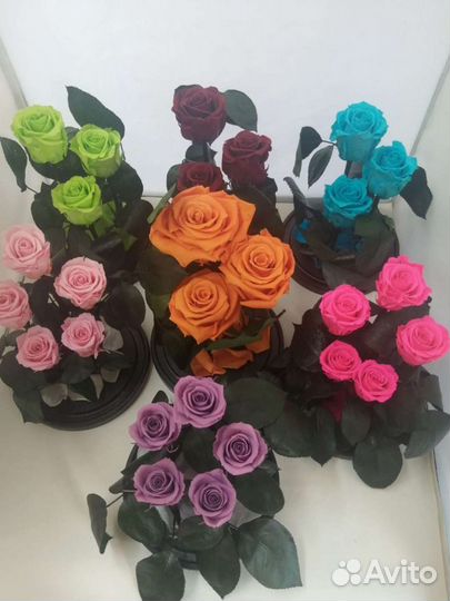 Стабилизированная роза в колбе оптом и в розницу