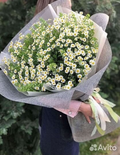 Доставка цветов. Ромашки