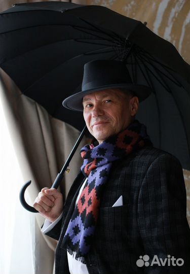 Поющий баянист, автор-исполнитель, аккомпаниатор